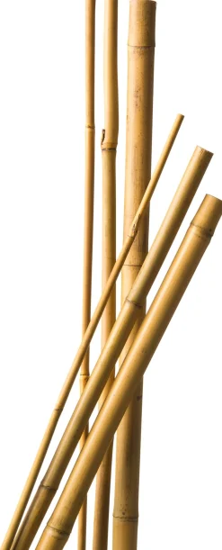 Intratuin Nature Pflanzstab Bambus H 240 cm D 18-20 mm 3 St.| Rankhilfen|Pflanzstäbe