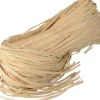 Intratuin Nature Raffia Naturbast 50 g| Rankhilfen|Bindematerial