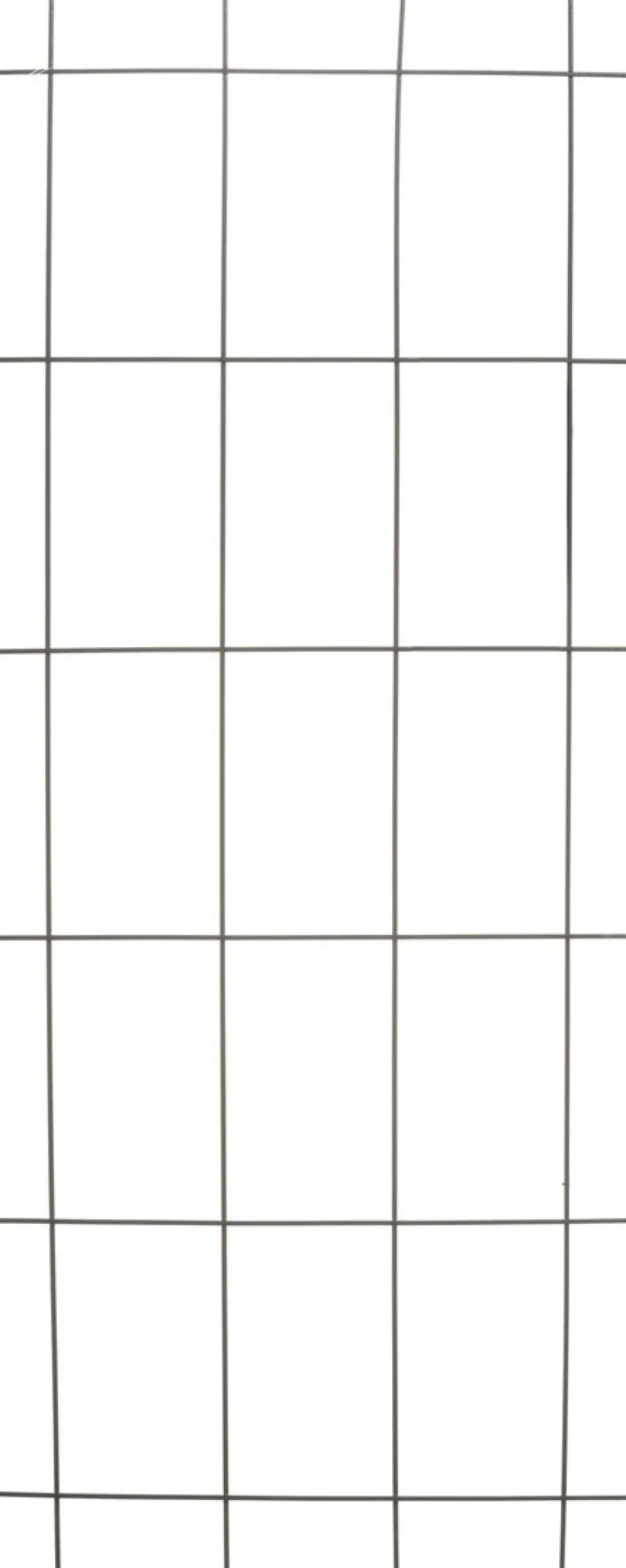 Intratuin Nature Rankgitter Metall kunststoffbeschichtet 150 x 60 cm grün| Rankhilfen|Rankgitter & Spaliere