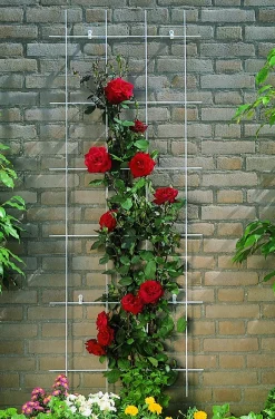 Intratuin Nature Rankgitter Metall kunststoffbeschichtet 150 x 60 cm grün| Rankhilfen|Rankgitter & Spaliere