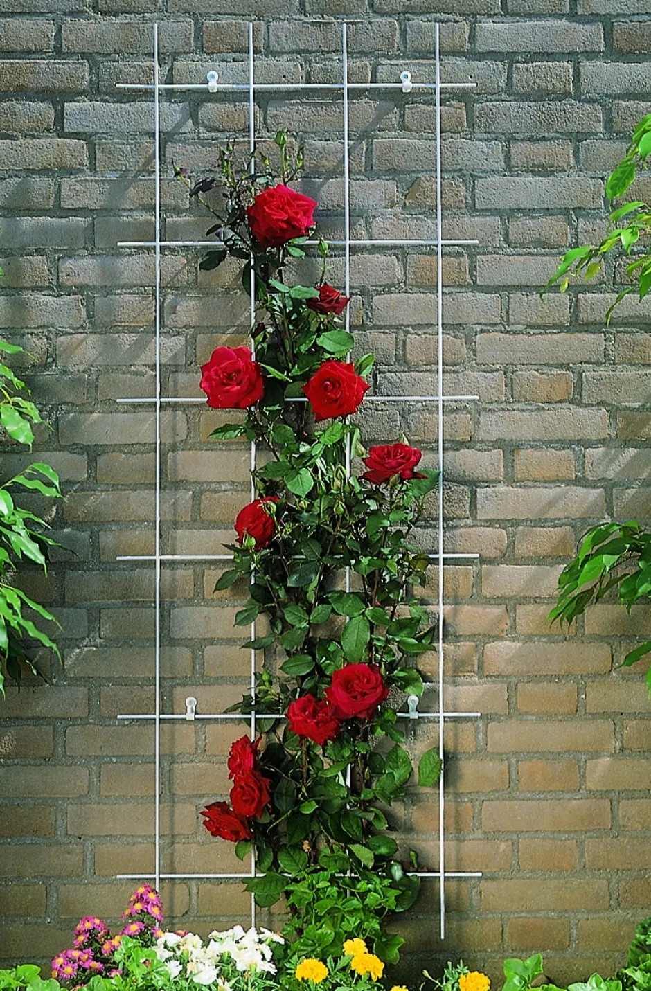 Intratuin Nature Rankgitter Metall kunststoffbeschichtet 150 x 60 cm grün| Rankhilfen|Rankgitter & Spaliere