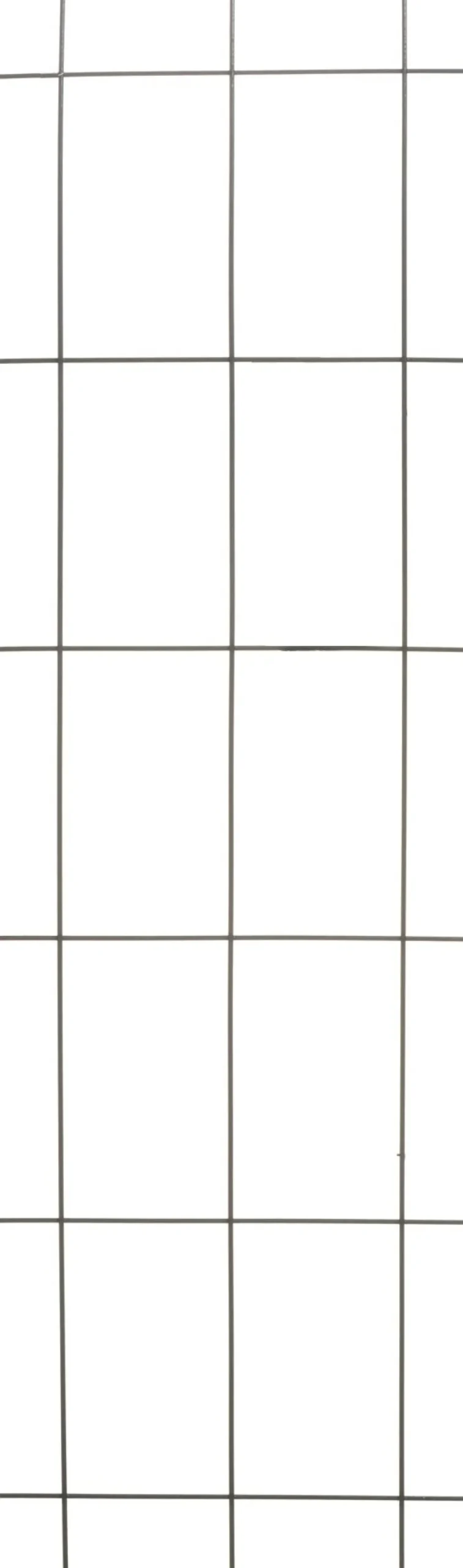 Intratuin Nature Rankgitter Metall kunststoffbeschichtet 150 x 45 cm grün| Rankhilfen|Rankgitter & Spaliere