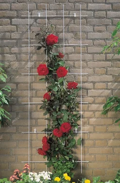 Intratuin Nature Rankgitter Metall kunststoffbeschichtet 150 x 45 cm grün| Rankhilfen|Rankgitter & Spaliere