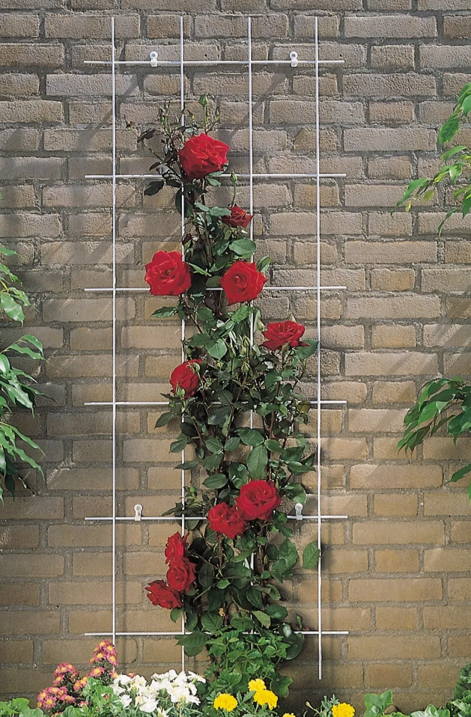 Intratuin Nature Rankgitter Metall kunststoffbeschichtet 150 x 45 cm grün| Rankhilfen|Rankgitter & Spaliere