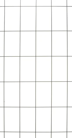 Intratuin Nature Rankgitter Metall kunststoffbeschichtet 150 x 75 cm grün| Rankhilfen|Rankgitter & Spaliere