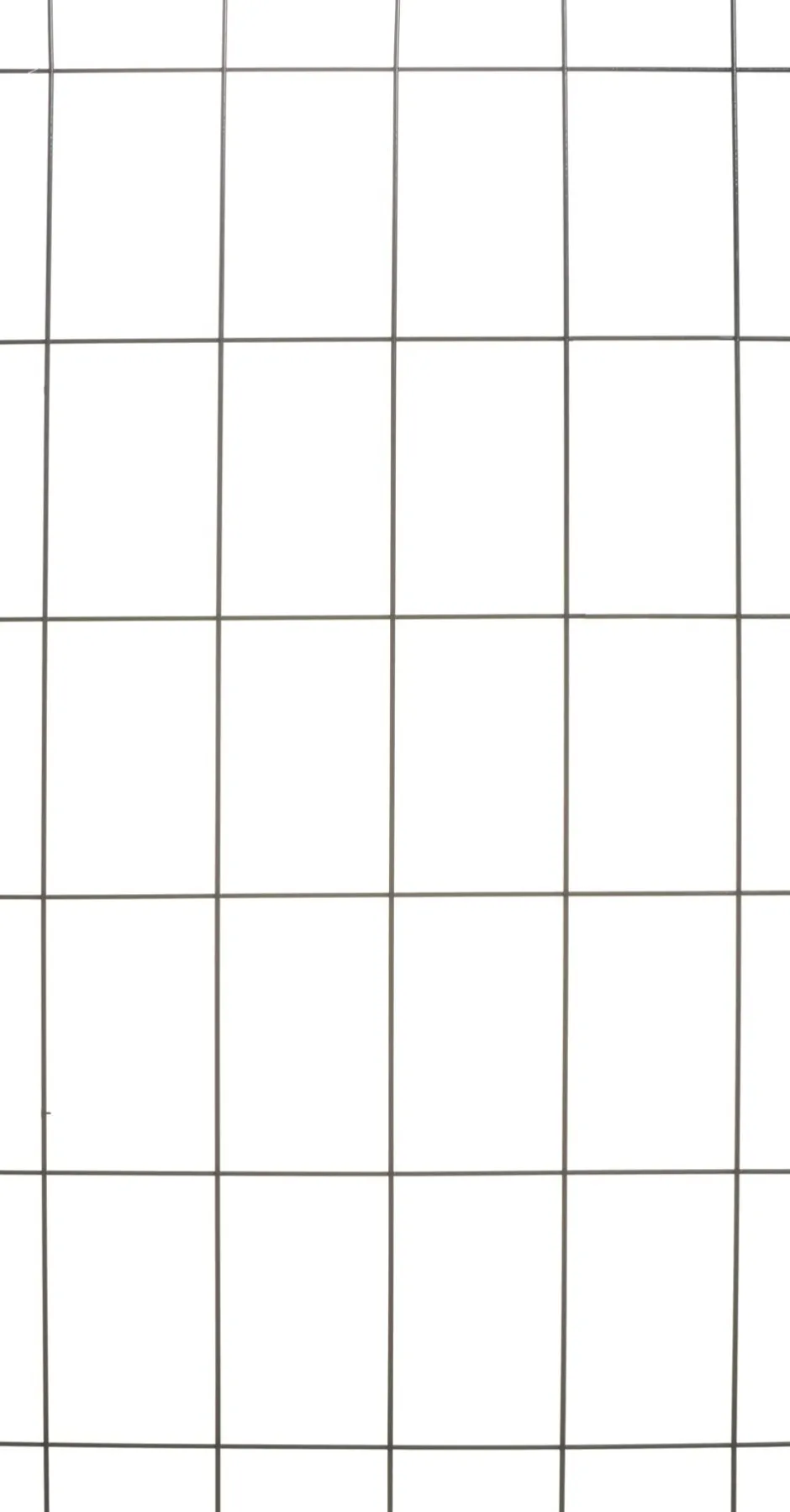 Intratuin Nature Rankgitter Metall kunststoffbeschichtet 150 x 75 cm grün| Rankhilfen|Rankgitter & Spaliere