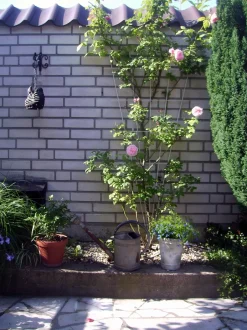 Intratuin Nature Rankgitter V-Form Metall 150 x 5-75 cm grün| Rankhilfen|Rankgitter & Spaliere