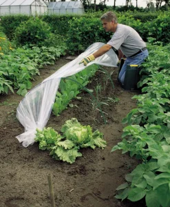 Intratuin Nature Tunnelbogen für Folientunnel H 48 D 56 cm| Folientunnel