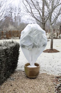 Intratuin Nature Winterschutz-Haube 75 x 75 cm weiß 3 Stück| Pflanzenschutz|Winterschutz