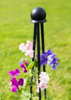 Intratuin Peacock Kuppel-Stab-Verbinder| Rankhilfen|Pflanzenstützen