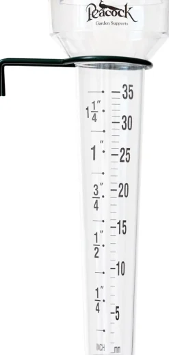 Intratuin Peacock Regenmesser transparent D 8,5 H 28 cm| Regenmesser