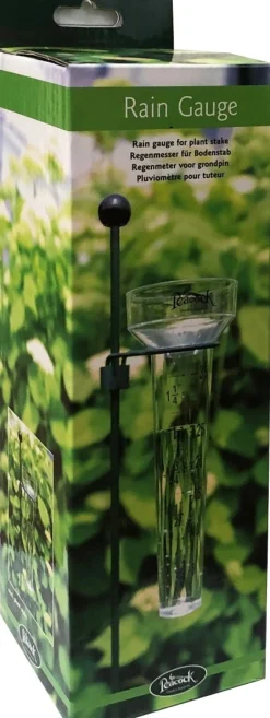 Intratuin Peacock Regenmesser transparent D 8,5 H 28 cm| Regenmesser