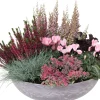 Intratuin Pflanzenarrangement Herbst mit Heide D 38 H 35 cm| Pflanzenarrangements
