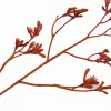 Intratuin Silk-ka Kunstblume Känguru-Blume orange 72 cm| Kunstblumen