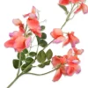 Intratuin Silk-Ka Kunstblume Lathyrus orange 73 cm| Künstliche Deko-Zweige