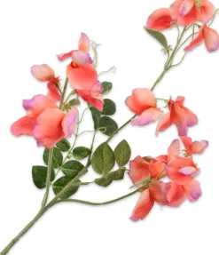 Intratuin Silk-Ka Kunstblume Lathyrus orange 73 cm| Künstliche Deko-Zweige