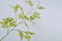 Intratuin Silk-ka Kunstzweig Escje hellgrün 99 cm| Künstliche Deko-Zweige