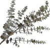 Intratuin Silk-Ka Kunstzweig Eukalyptus 111 cm grün| Künstliche Deko-Zweige