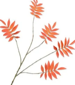 Intratuin Silk-Ka Kunstzweig Rhus orange 103 cm| Künstliche Deko-Zweige
