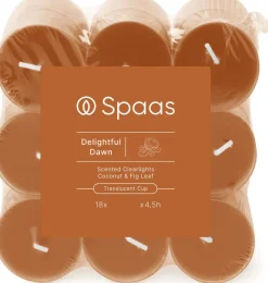 Intratuin Spaas Duftkerze Essential collection Delightful Dawn orange 4,5 Std. D 3,5 H 1,6 cm 18 St.| Teelichter|Duftkerzen