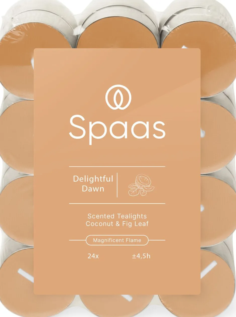 Intratuin Spaas Duftkerze Essential Collection Delightful Dawn orange 4,5 Stunden D 3,9 H 1,6 cm 24 St.| Teelichter|Duftkerzen