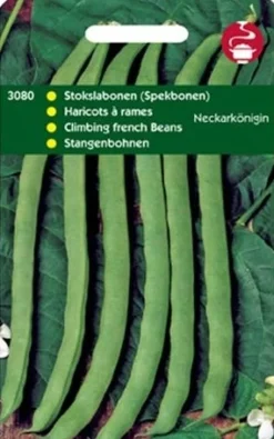 Intratuin Stangenbohnen (Phaseolus vulgaris 'Neckarkönigin') Samen| Gemüsesamen|Saatgut