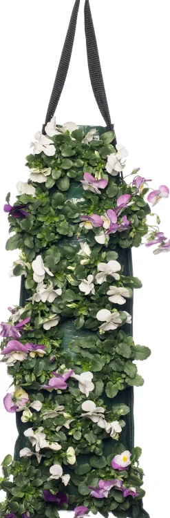 Intratuin Stiefmütterchen Wandhänger (Viola) D 20 H cm| Einjährige Pflanzen|Stiefmütterchen & Hornveilchen