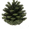 Intratuin Tannenzapfen Österreich grün 8 cm| Weihnachts- & Adventsdeko