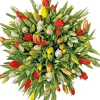 Intratuin Tulpenmix 10 St. 40cm| Frühlings-Blüher|Blumenzwiebeln