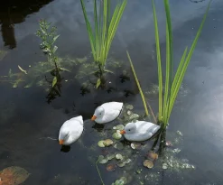 Intratuin Ubbink Teichdeko Ente weiß 12,5 x 6,5 x 7,3 cm| Gartenteich