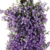 Intratuin Wandhänger Dalmatiner Glockenblume (Campanula portenschlagiana 'Ambella Purple') D 60 H 25 cm| Blühende Pflanzen|Winterharte Pflanzen